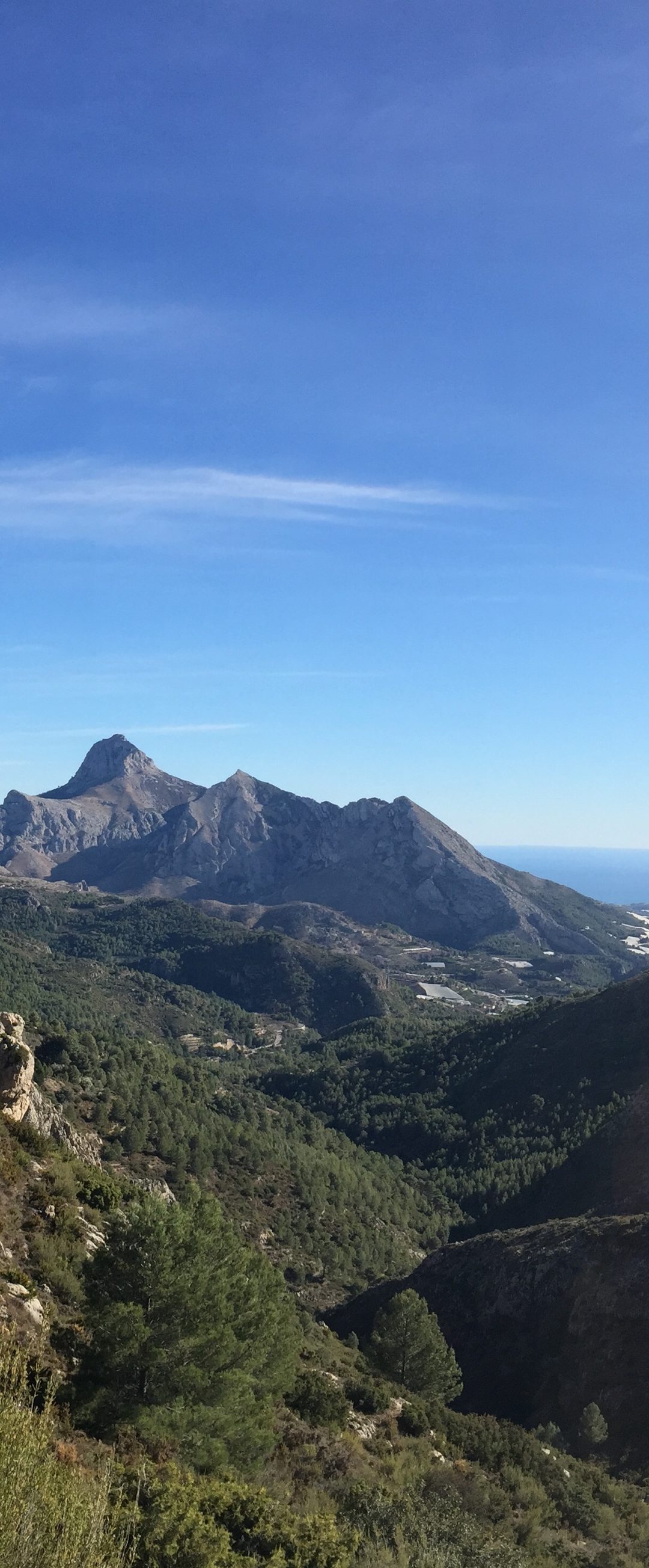 Bolulla – Raco Roig