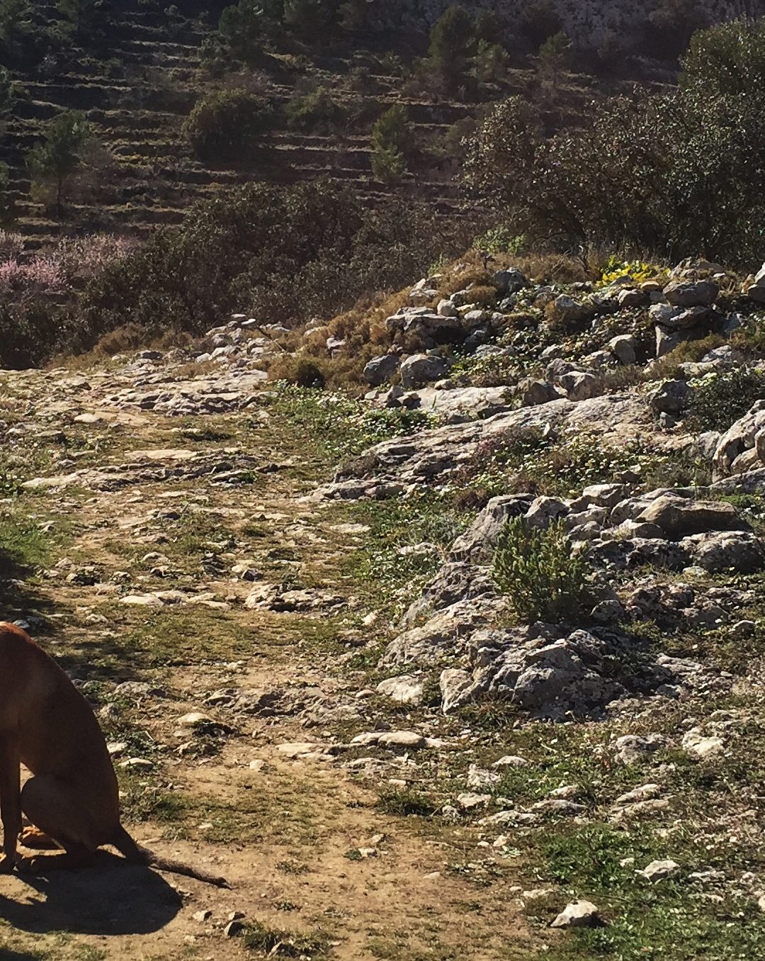 Tàrbena – Els Arcs