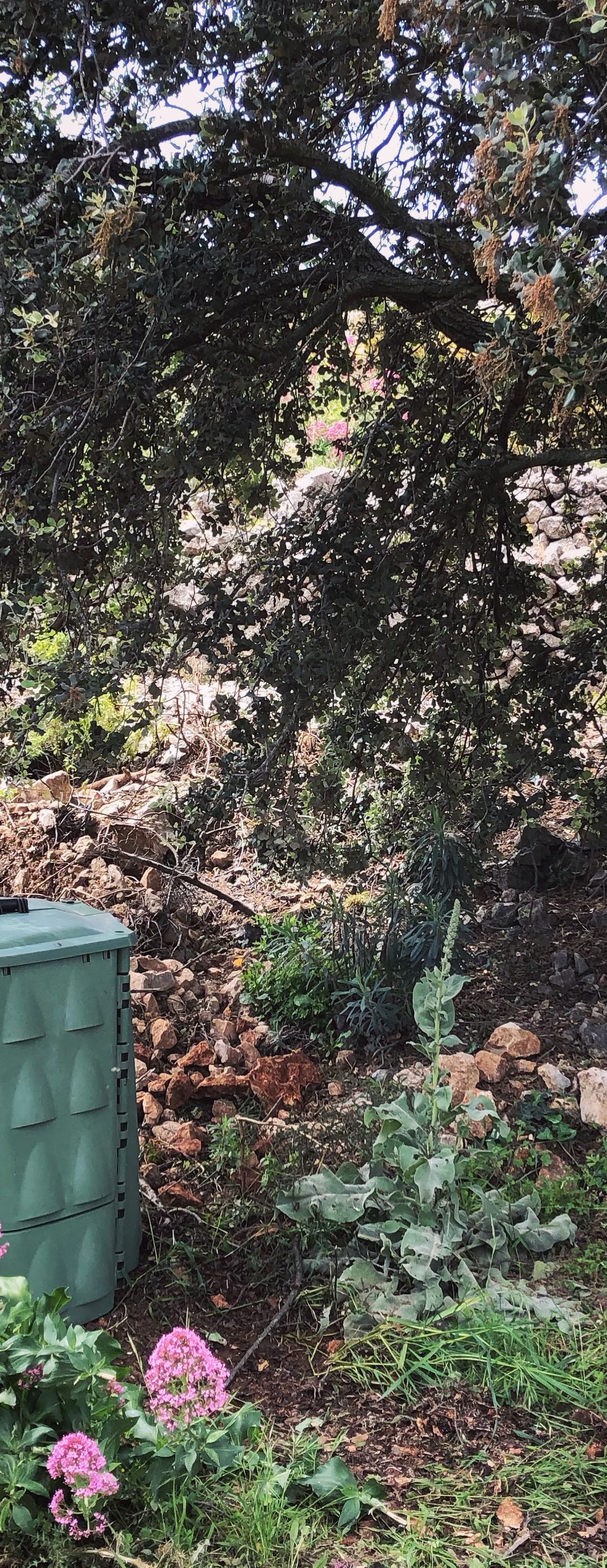 Eco-toerisme: onze eigen compost!