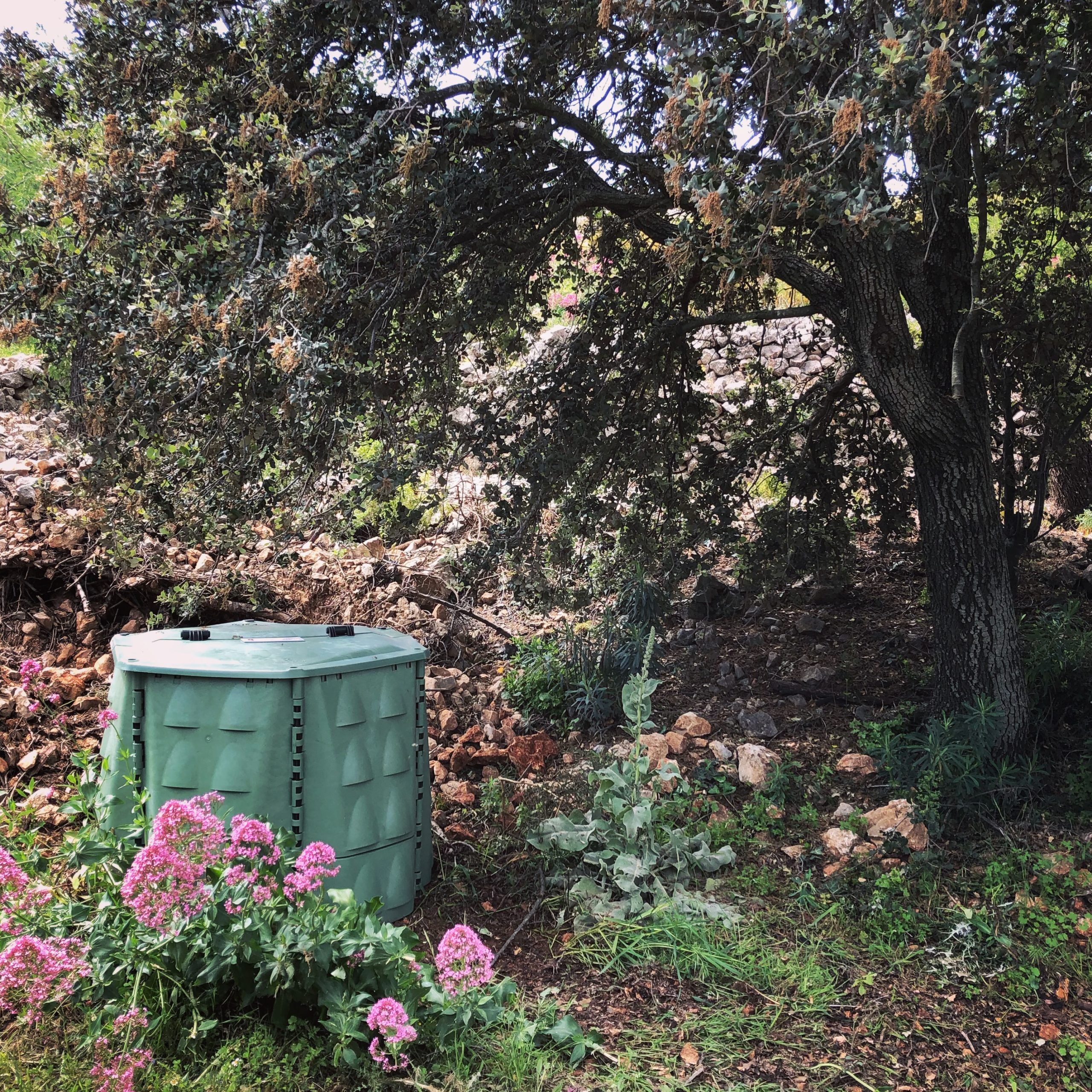 Eco-toerisme: onze eigen compost!