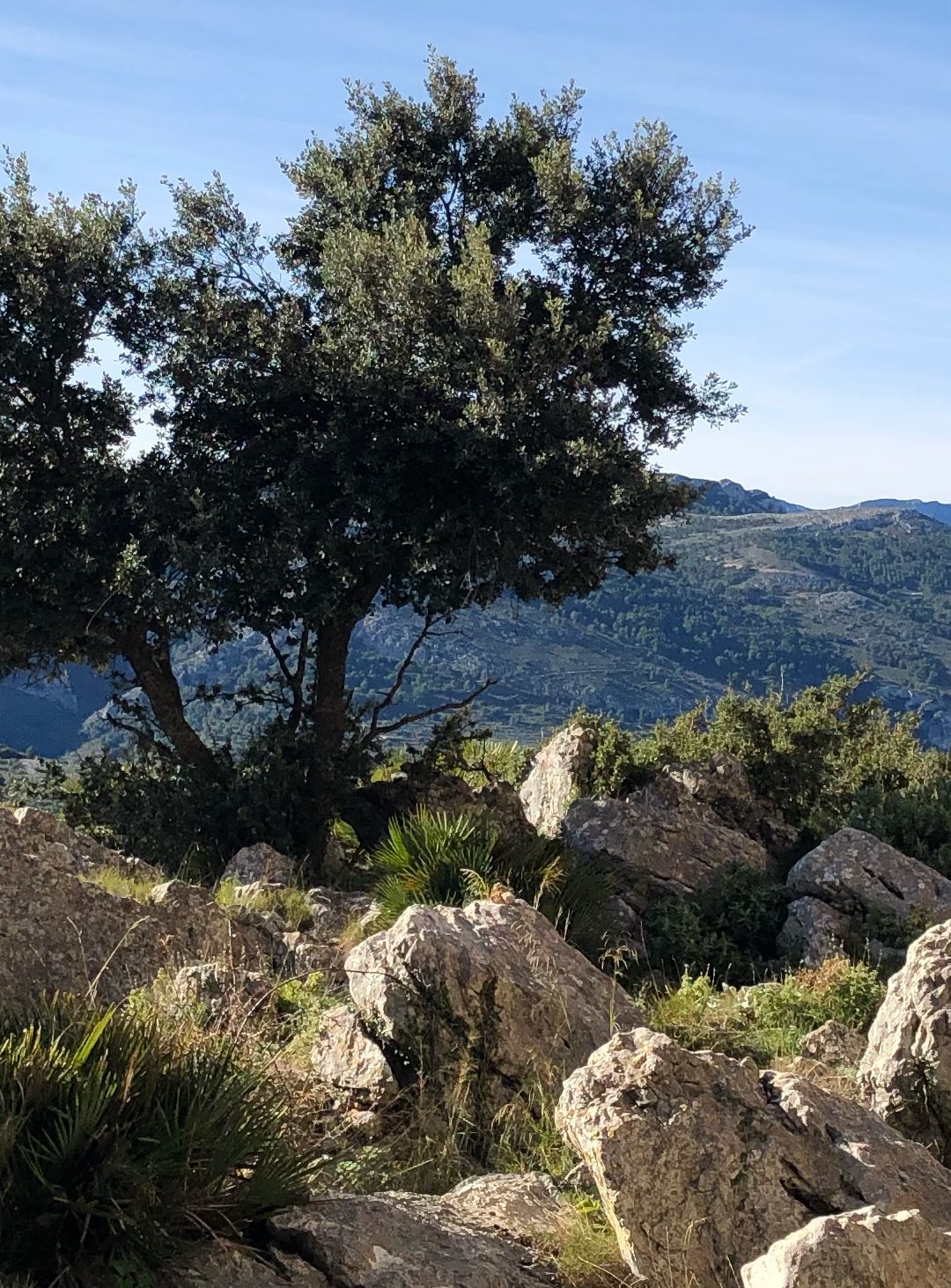 Hike Sa Cova de Dalt