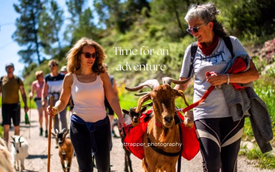 Euro Goat Trekkers: Geitenwandelingen in de bergen van de Costa Blanca