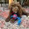 Conny Van de Wiel Avatar